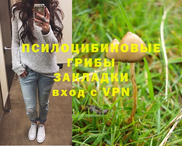 герыч Кинешма