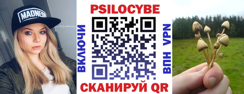 Галлюциногенные грибы Cubensis  сайты даркнета какой сайт  Красавино 